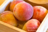 Fresh peaches from the farmers market