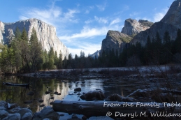 Morning on the Merced River, Yosemite National Park