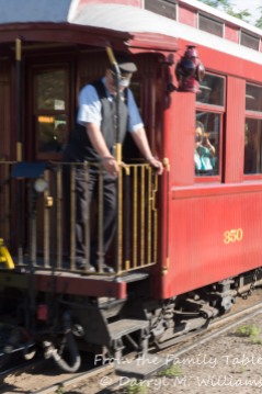 Conductor on the caboose