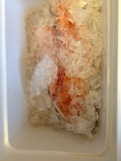 Freshly caught salmon iced in a cooler